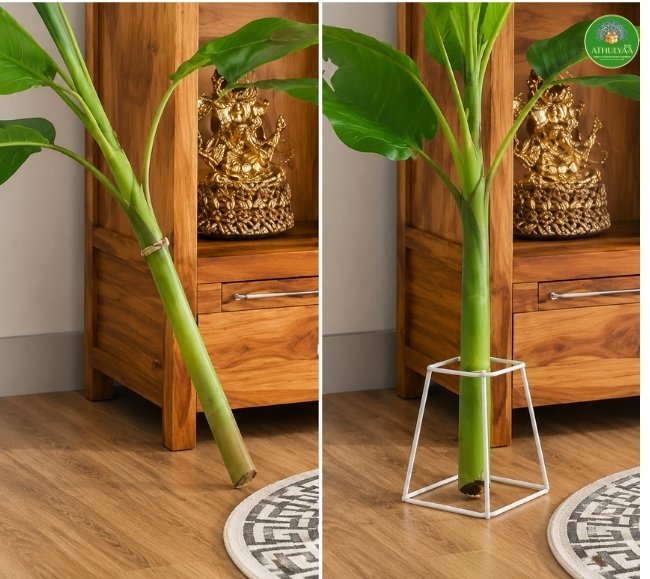 Banana Stand for Pooja - Pair