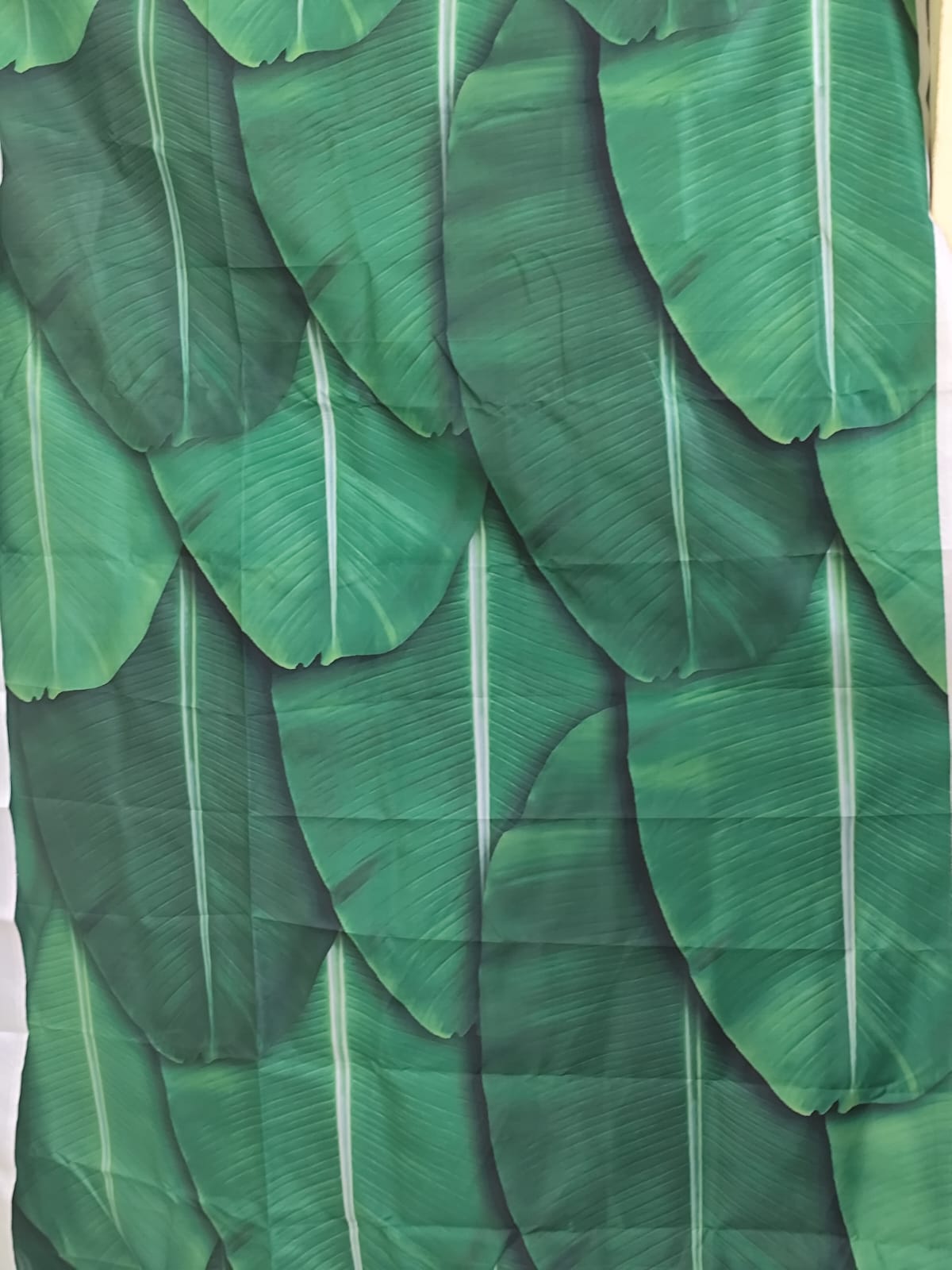 Banana Leaf Backdrop