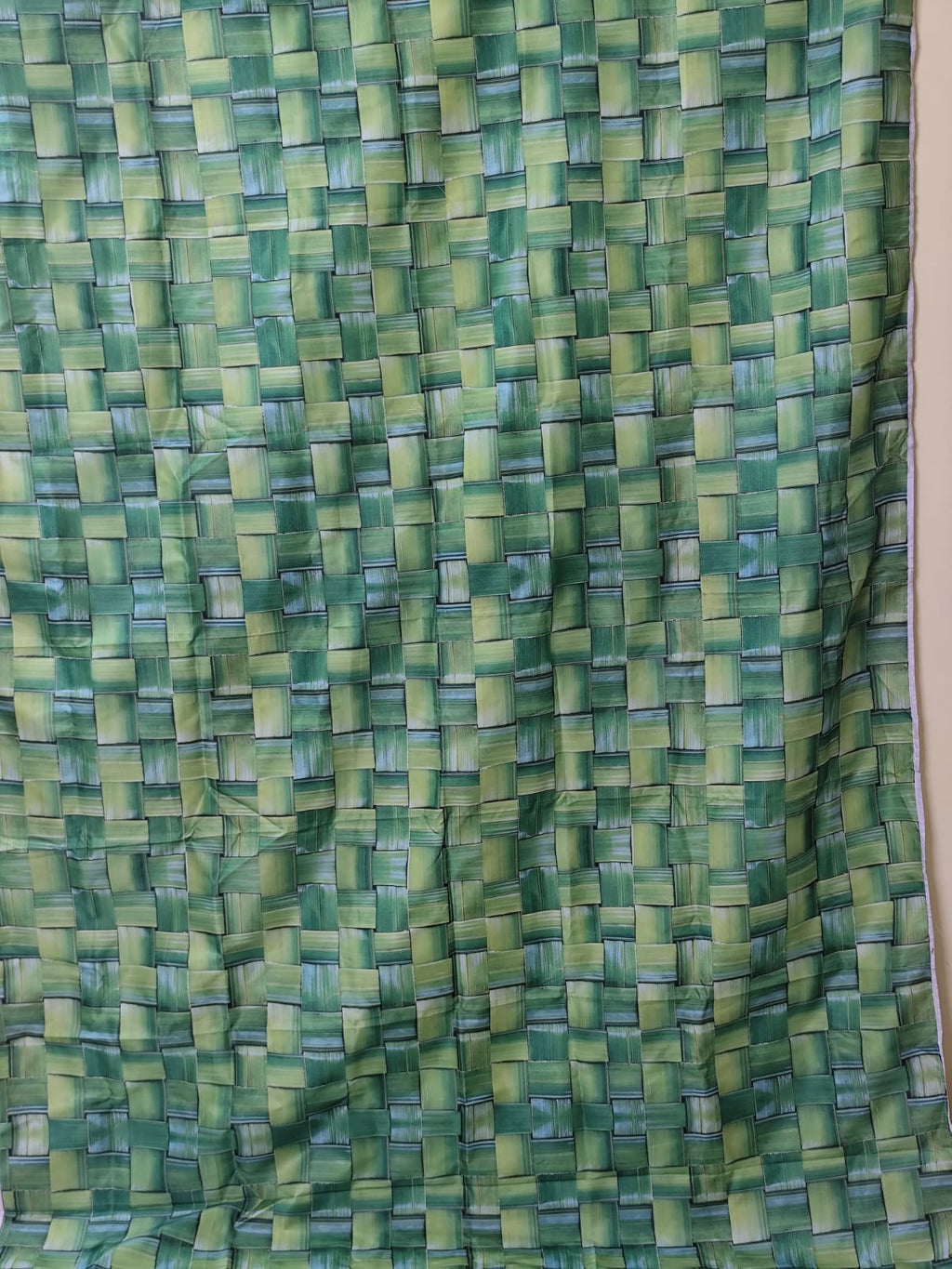 Coconut Leaf Backdrop