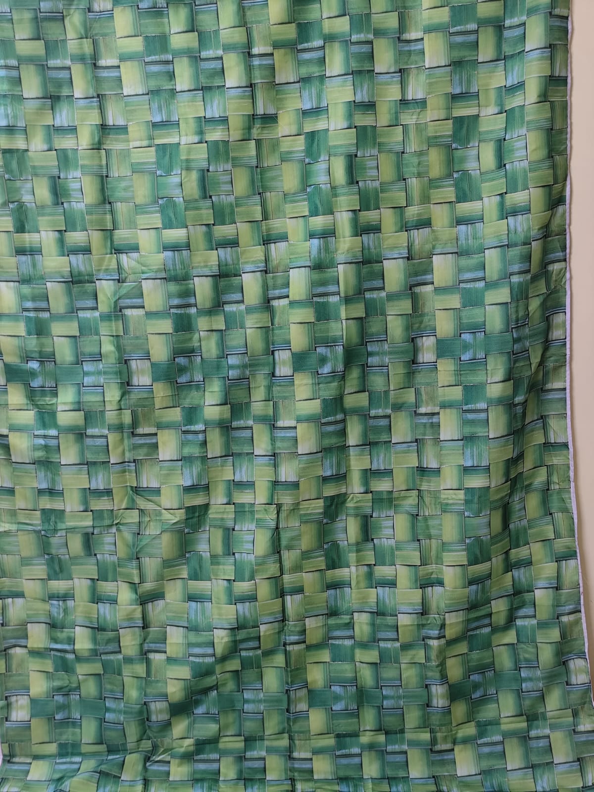 Coconut Leaf Backdrop