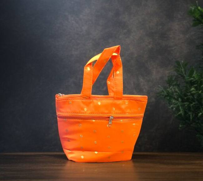 paithani bag